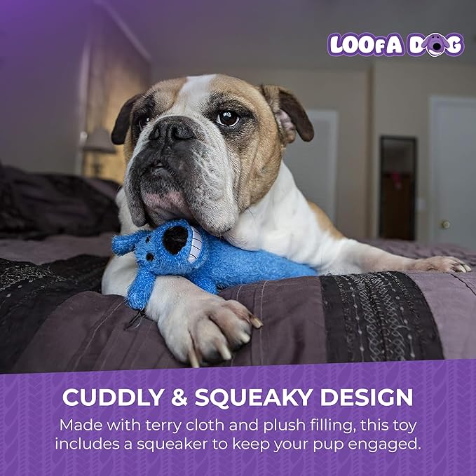 Multipet Original Loofa Dog Plush Toy - Squeaky Toy for All Dogs - Extra Soft Plush - Stuffed Animal Dog Toys for Playing (1 Count, 24”, Random Color Surprise)