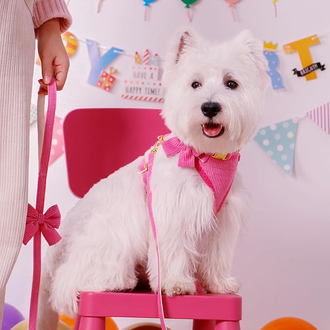 Didog Cute Small Dog Harness Collar and Leash Set with Bowtie, Breathable Soft Mesh Padded Puppy Harness, Dog Harness for Small Dogs Daily Walks Parties, Holiday Gatherings & Gifts, Hot Pink, S