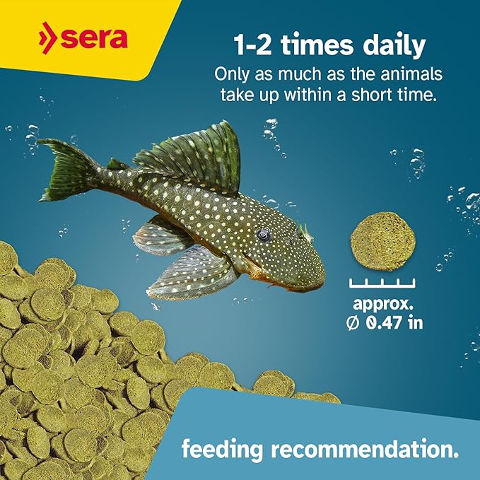 Sera Pleco Chips 3.4oz/0.21lbs | Premium Fish Food for Ancistrus & Plecos | High Fiber | No Dyes & Preservatives | Supports Digestion & Promotes Healthy Growth | Ideal for Bottom Feeders