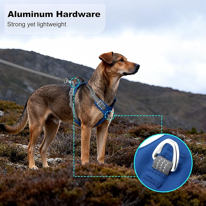 No Pull Dog Harness – Adjustable Reflective Nylon Vest for Small Medium Large Dogs, Escape Proof Training Harness with Leather Control Handle, Lightweight Aluminum Hardware (Royal Blue, L)