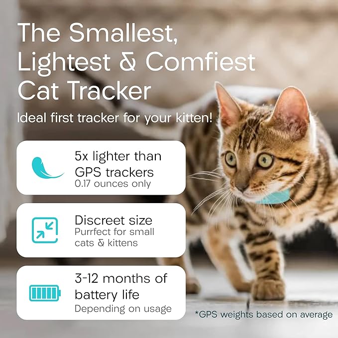 Tabcat V2 Cat & Kitten Tracker - No Monthly Subscription Fee | 2 Lightweight Homing Tags, Cases & Tracking Handset | More Accurate Than GPS | Track 2 Cats Indoors & Outdoors to 1" & 500 ft Range