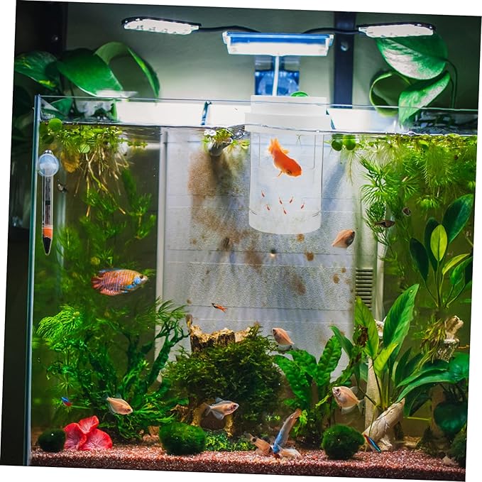 1 Set Floating Fish Breeding Box Transparent Isolation Incubator for Guppy Betta Shrimp Secure Fry Environment with Automatic Water Level for Aquariums