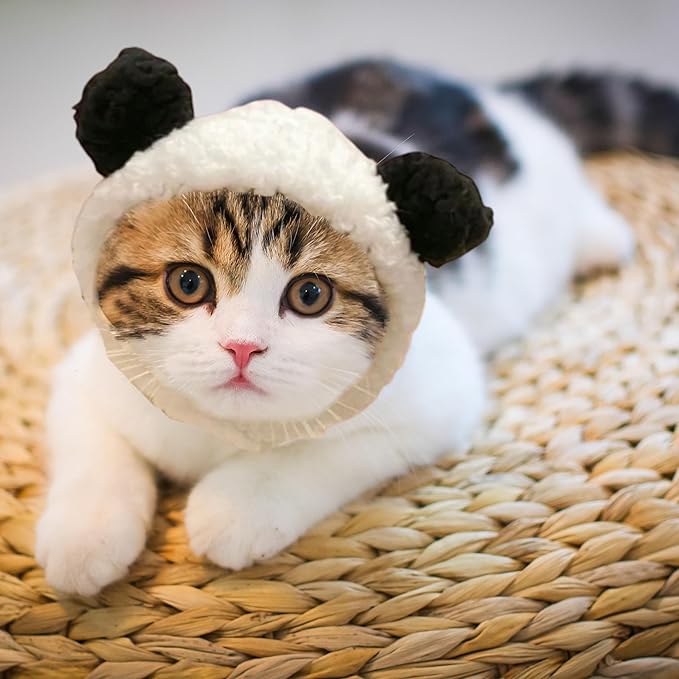 3pcs Hat for Cat Animal Costume Pack, Lion Head for Cats, Cat Panda Costumes, Frog Costume for Cats, Adjustable Washable Soft Small Pet Headwear Accessory, Costumes Pet Clothes (Lion, Panda, Frog)