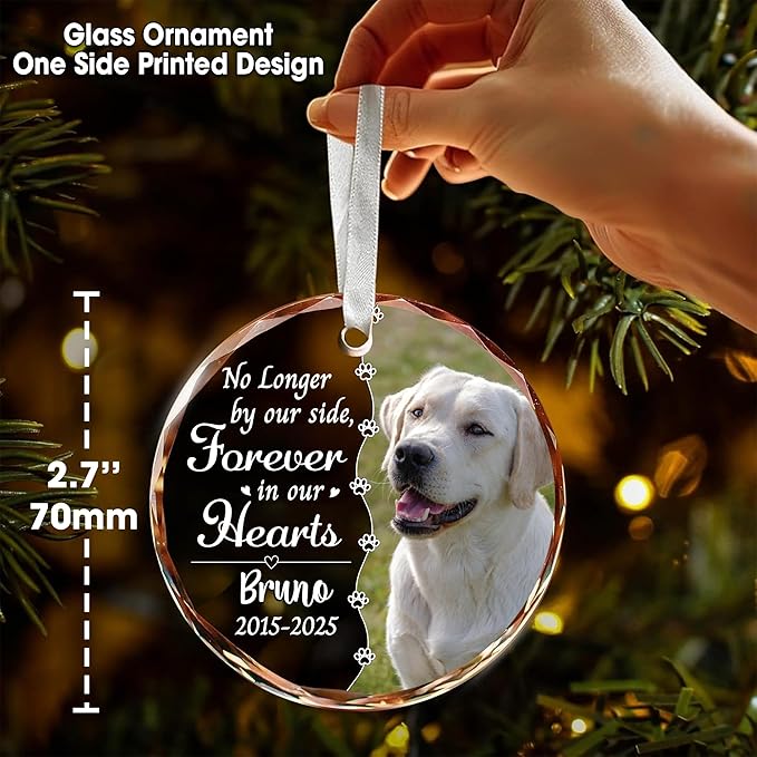Personalized Pet Stained Glass Window Hanging, Dog Memorial Suncatcher Picture, Sympathy Gift for Loss of Pet, Cat Bereavement Keepsake Portrait Photo, Remembrance Gift for Dog Lovers