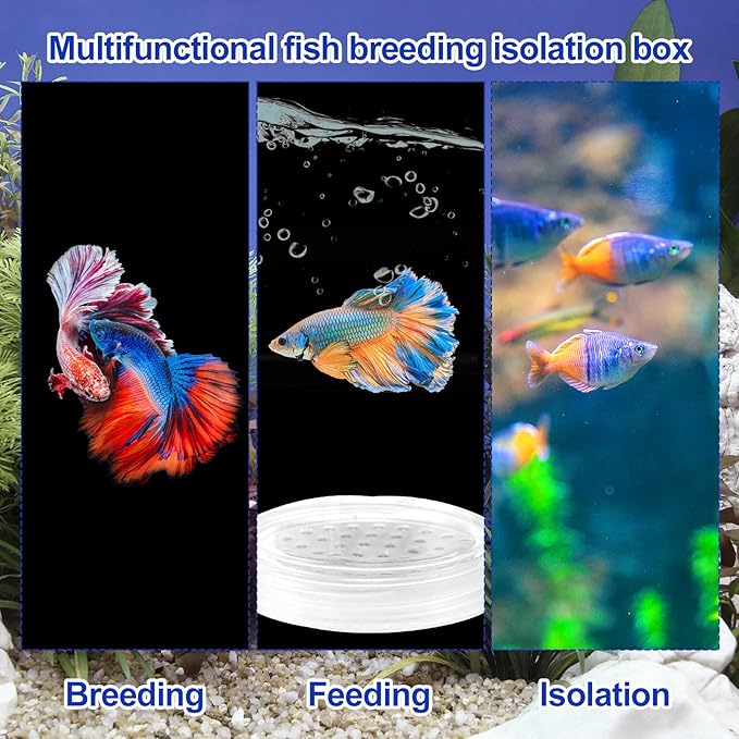 Transparent Plastic Fish Tank Breeder Box, Aquarium Fish Tank Hatchery Incubator Breeding Box Floating Aquarium Isolation Hatchery for Guppy Betta Shrimp Clownfish