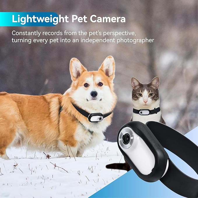 Sanpyl Pet Collar Camera, 1080P HD 120 Degree Wide Angle Small Dog Cat Action Camera with Video Records,No Needed, Dogs Indoors/Outdoors - only 0.77 Ounces!