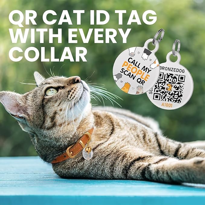 BRONZEDOG Leather Cat Collar with Removable Bells Non Breakaway Kitten QR Tag for Girl Boy (7" - 9" for Cats, Pink & Silver)