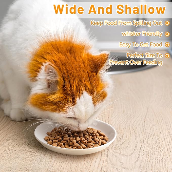 Ceramic Cat Bowls – Whisker Friendly, Anti-Vomiting Food Plates for Indoor Cats, Safe & Hygienic Cat Dishes, Stylish Ceramic Cat Food Bowls Set(6 Pack)