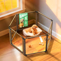 FXW AuraSpace Pro Metal & Acrylic Indoor Dog Playpen, All-Acrylic Clear Heavy-Duty Design, 24" Height 6 Panels for Puppies & Small Dogs,Walnut│Patented