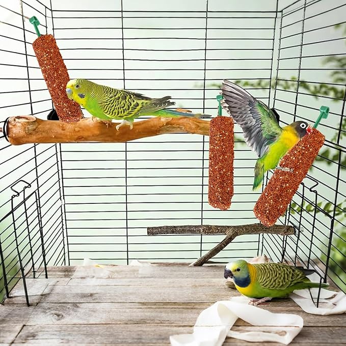 Cockatiel Treat - | 2 Pieces Bird Snacks | Pet Bird Treat Sticks | Cockatiel Treats, Pet BirdTreat Sticks Training Food Rewards Chewing Foraging Snacks for Myna Parakeet Finch Conure Parrot