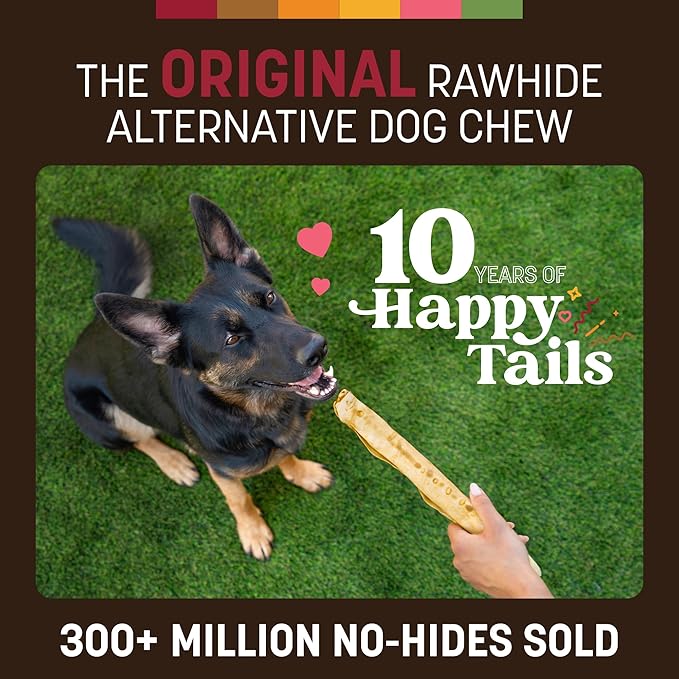 Earth Animal No Hide Chews - Long Lasting Rawhide Free Large Dog Chews Rolls, Beef - 3 Count Value Pack