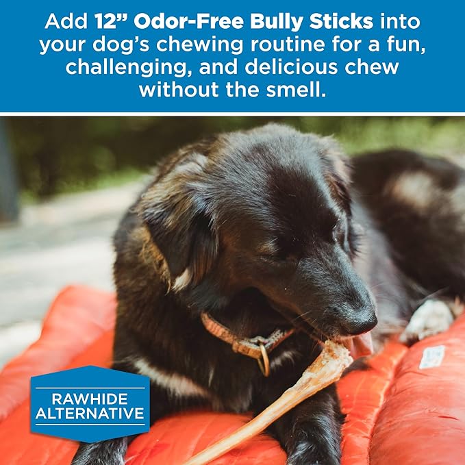 Best Bully Sticks 12 Inch Odor-Free Bully Sticks for Dogs - 12 Count (Pack of 1) - Natural Grass-Fed Beef, Easily Digestible, No Grain or Rawhide - Large Breeds