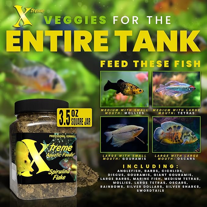 Xtreme Spirulina Flakes - Balanced Herbivorous Diet for Tropical and Marine Fish, Enhanced Health, Vibrant Colors - USA Farm Grown - Ideal for Cichlids, Barbs, Tetras and Guppies (3.5oz)