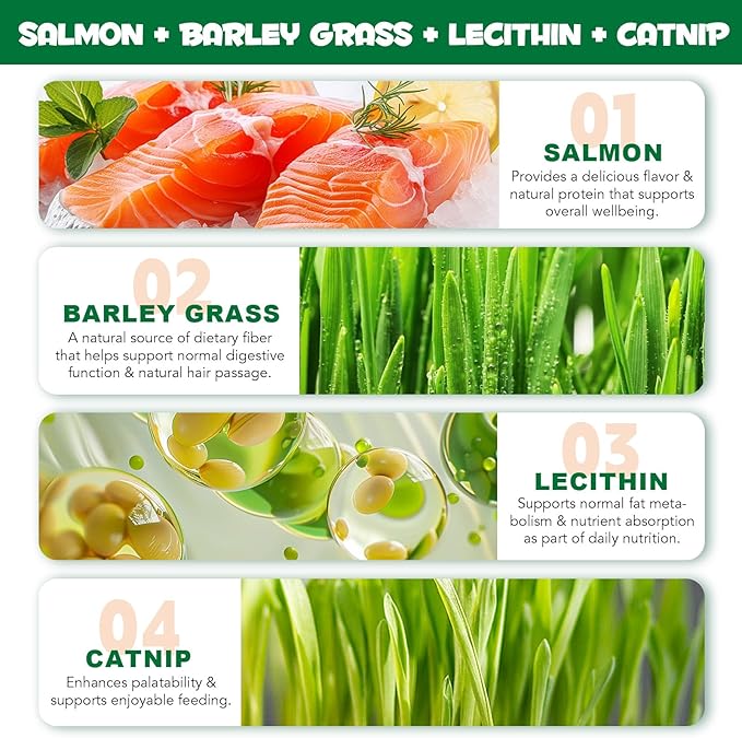 Cat Grass Treats, Cat Treats for Indoor Cats, Promotes Natural Hairball Passage, Reduce Plaque Build-Up Support Fresh Breath, Cats Dental Care Bites Kitten Snacks Training Biscuits, Catnip Flavour