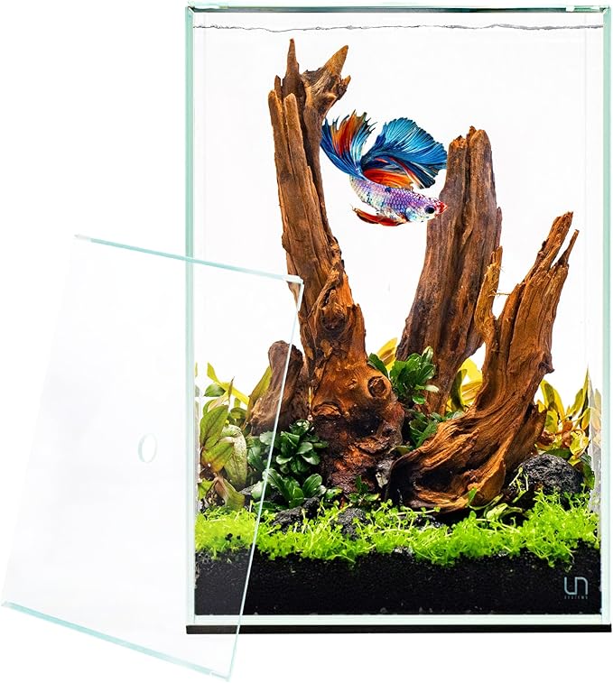 Ultum Nature Systems Prism Rimless Glass Aquarium - Cube Tank with Mitered Lid, Tall Nano Fish Tank for Home & Office - UNS Prism, 30TM