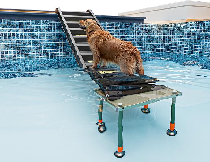 Adjustable 4-Leg Dog Pool Ramp - Quick Setup & Foldable Dog Ramp for Pool, 200lbs Capacity - Non-Slip Design for Enhanced Stability, Black