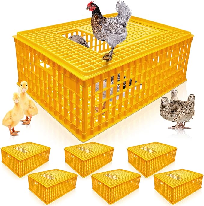 Sintuff Poultry Carrier Crate Plastic Chicken Transport Cage Bird Carriers Chickens Carrier Travel Crate Basket Box for Poultry Chicken Bird Duck Goose, 29.5 x 21.7 x 11.6 Inch (2 Pcs)