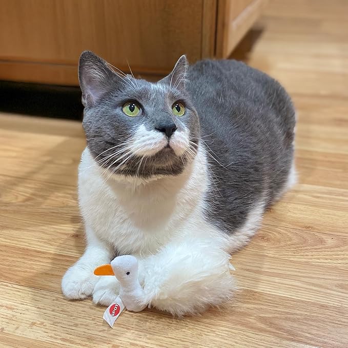 SPOT Birds of a Feather Catnip Toy for Cats – Interactive Plush Toy for Swatting, Pouncing, and Chasing – 6in, Assorted Styles