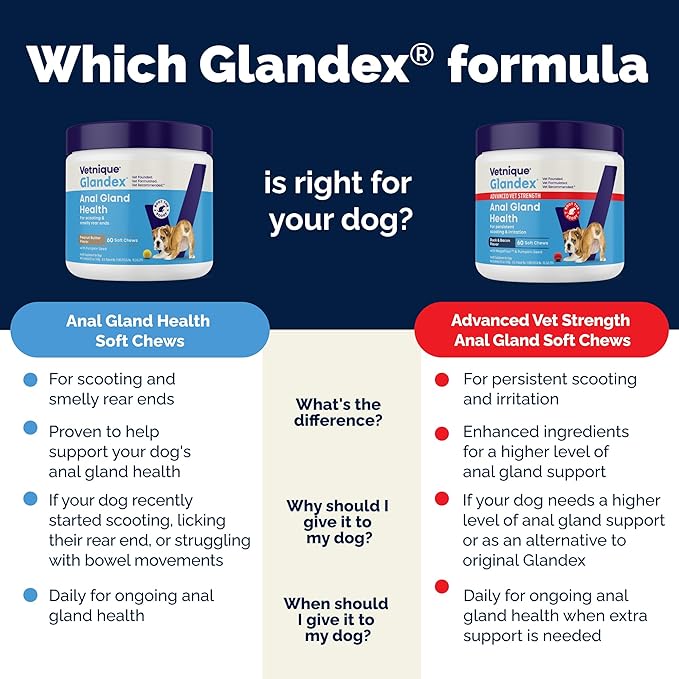 Vetnique Glandex Anal Gland Soft Chew Treats with Pumpkin for Dogs Digestive Enzymes, Probiotics Fiber Supplement for Dogs Boot The Scoot (30ct, Peanut Butter Chews) (Pack of 2)