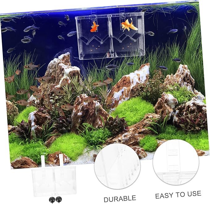 Hatching Incubator Box Aquarium Breeding Accessory Isolation Tank for Aggressive Injured Fish Plastic Material