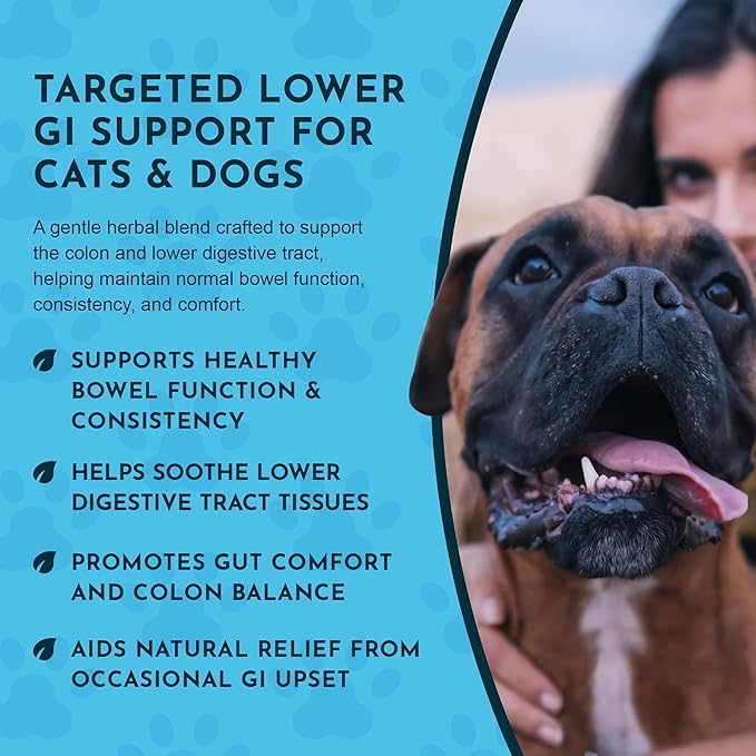 Animal Essentials Colon Rescue Powder - Herbal Digestive Aid for Dogs & Cats, Phytomucil, Healthy Gastrointestinal Tract, Certified Organic Herbs, No Preservatives, Glycerin-Based Formula - 1 Oz