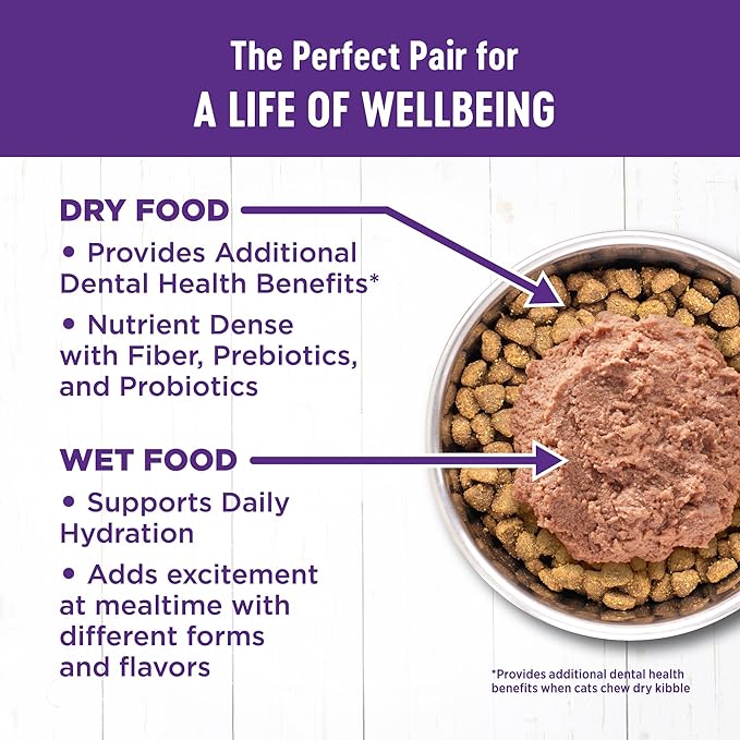 Wellness Complete Health Pate Adult Wet Cat Food,Natural,Protein-Rich,Grain-Free,3 Ounce,(Seafood Favorites Variety Pack),(Pack of 48)