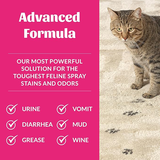 Skout's Honor Cat Advanced Severe Mess Stain & Odor Remover - Advanced Formula for Tackling the Worst Cat Messes, Eco-Friendly Formula for Carpets and Home, 35 oz
