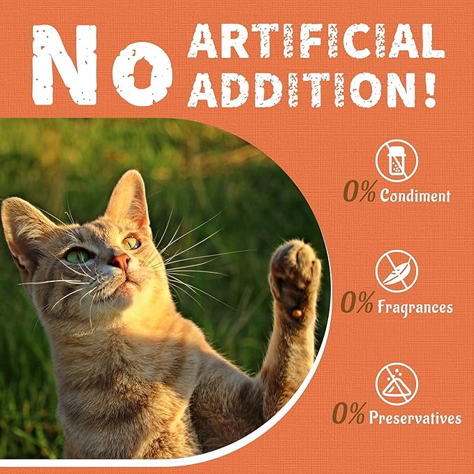 Just Try 16 OZ Probiotic Cat Treats Support Gut Health Chicken Flavor Healthy Cat Snacks Training Biscuits (Probiotic)