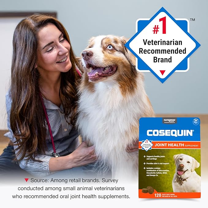 Nutramax Cosequin for Dogs Joint Health Supplement, Contains Glucosamine, Plus Chondroitin, MSM and Omega-3s, Supports Joint and Skin and Coat Health, Soft Chews, 120 Count