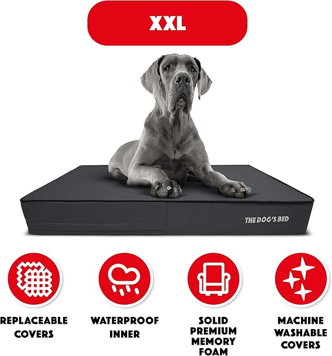 The Dog’s Bed Orthopedic Memory Foam Dog Bed Mattress, Oxford Fabric, Grey with Black Trim, XXL, 6-Inch