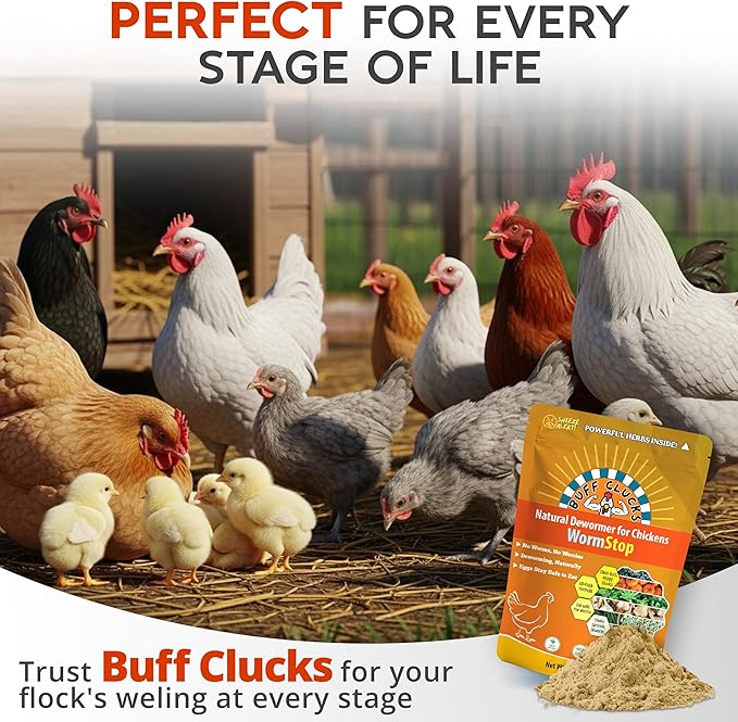 WormStop Natural Chicken Dewormer Powder – All-Natural Herbal Blend for Daily Wellness - Chicken Wormer is Safe for Eggs & All Ages - Garlic, Pumpkin Seed, Wormwood - USA (8 oz)