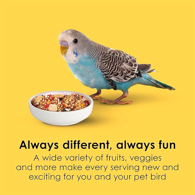 Kaytee Fiesta Parakeet Food,Nutritious and Fun Blend,Supports Skin,Feather,Digestion,Brain and Heart Health,2 pounds,(Pack of 2)