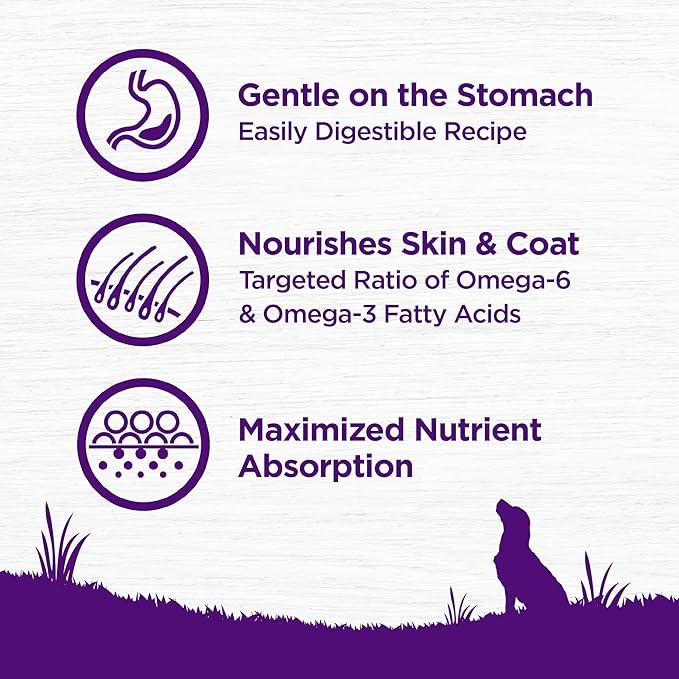 Wellness Complete Health Sensitive Skin and Stomach Dry Dog Food, Wholesome Grain Kibble, Natural, Chicken Free, Salmon and Rice Recipe, 24 lb Bag