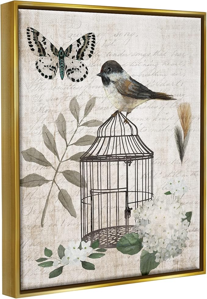Stupell Industries Botanical Bird Cage Vintage Words Butterfly Motif Floating Framed Wall Art, Design By Nan
