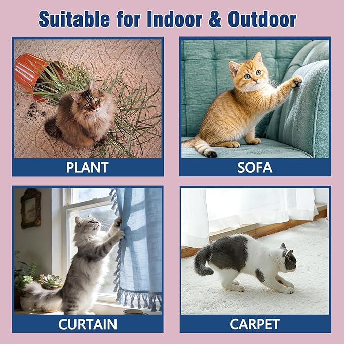 Bitter Apple Cat Deterrent Spray, Natural Non-Scratch Spray Alcohol-Free Formula, Safe Indoor & Outdoor Training Aid, for Dogs and Cats, Curtains, Furniture, Sofas, Cushions，120ml/1PC