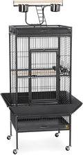 Prevue Hendryx 3152BLK Pet Products Wrought Iron Select Bird Cage, Black Hammertone,24'' x 20'' x 60''