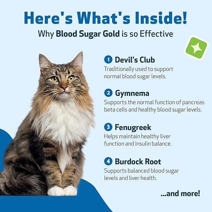 Pet Wellbeing Blood Sugar Gold for Cats - Holistic Support for Healthy Blood Sugar Levels, Insulin Stabilization & Normal Pancreatic Function - NASC Certified & Vet-Formulated - 2 oz Liquid