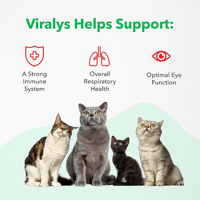 Vetoquinol Viralys - Lysine Supplement for Cats & Kittens - Supports Eye Wellness, Respiratory Health & Immune Strength - Flavored Oral Powder for Easy Feeding & Daily Use - 600 Grams
