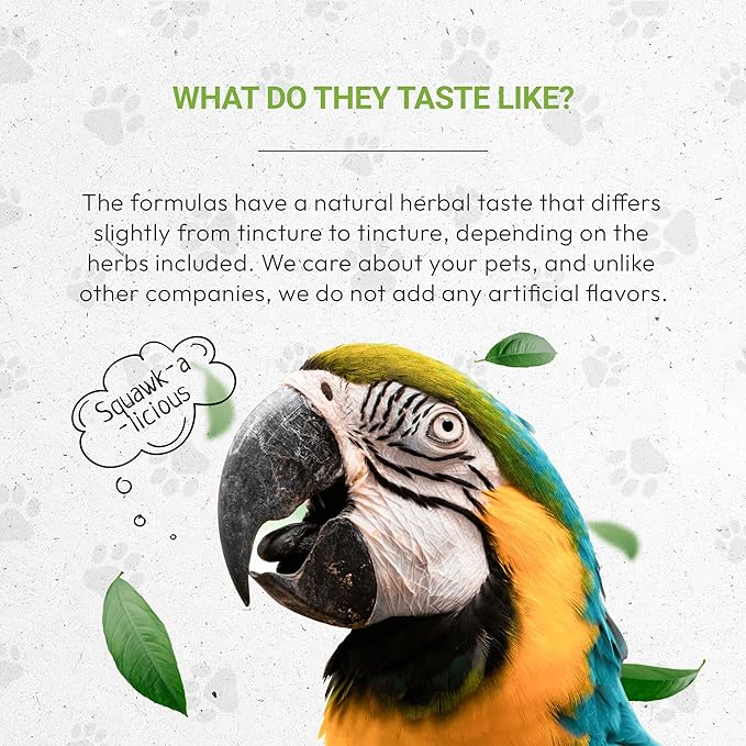 Birds Respiratory | Natural Herbal Dietary Pet Supplement for Birds | Healthy Respiratory System Support | Alcohol-Free Extract, Horehound, Linden, Peppermint, Elder Flowers, Fennel 2 oz