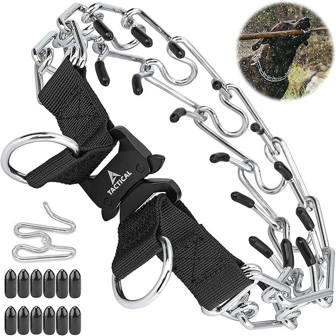 Quick Release Dog Training Collar Adjustable Stainless Steel Collar for Small Medium Large Dog (Black, XL Neck Girth 16.9"-22.2")