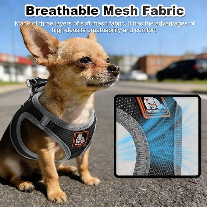 Dog Harness Medium Sized Dogs, Puppy Harness and Leash Set for Training, Running, Walking, Suitable for Small and Medium Dog Vest, Black, M