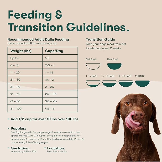 Jinx Premium Dry Dog Food, for All Lifestages - Real Beef, Brown Rice & Sweet Potato Kibble with Superfoods for Immune Support & Probiotics for Digestive Support - No Fillers - 4lb