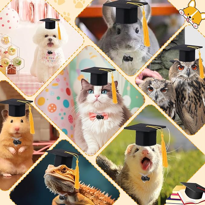 2 Pack Mini Graduation Caps with Yellow Tassels, Small Animal Bachelor Hats for Cats and Dogs, Adjustable Pet Graduation Photo Props and Holiday Costume Accessories