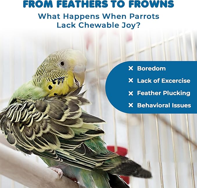 SunGrow Parrot Toy, Medium Chewing Bird Toy for Parakeet, Colorful Chew Toy for Cockatoos African Grey Macaws and Amazon Parrots