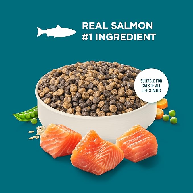 Nutrish Rachael Ray Dry Cat Food Real Salmon & Brown Rice Recipe, 2.5 lb. Bag