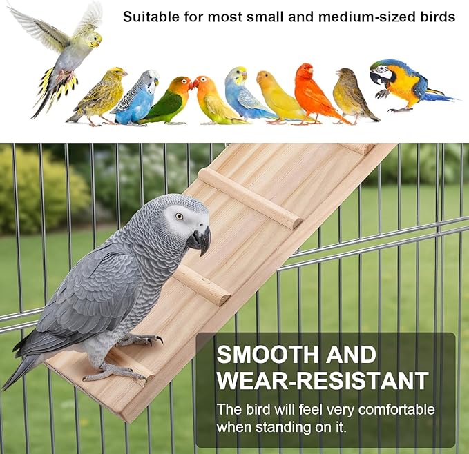 Wooden Bird Habitat Platform with Swing and Ladder - Sturdy Long Tailed Parrot cage Accessory, Suitable for Exercising and Entertaining Bird Games Gym - Perfect for Parrots, Canaries, Sparrows
