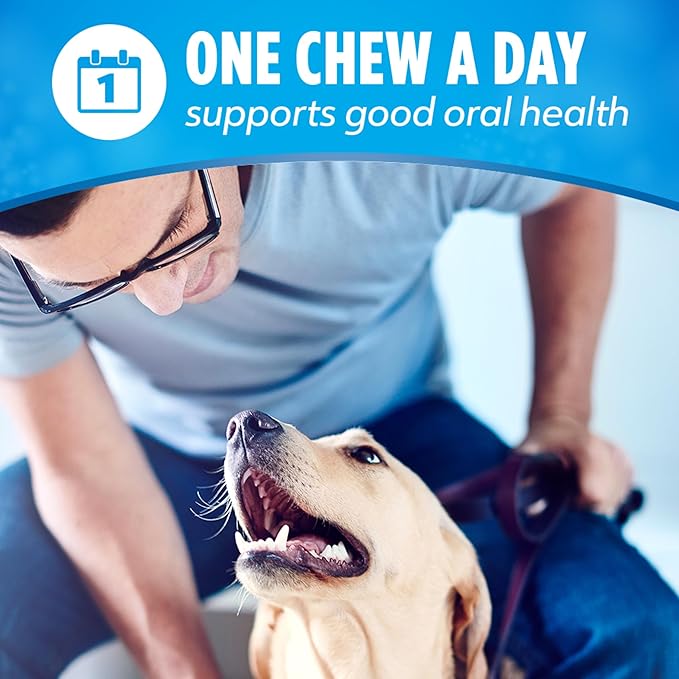 Purina DentaLife Daily Oral Care Dog Dental Chews for Small and Medium Breed Dogs - 120 ct.
