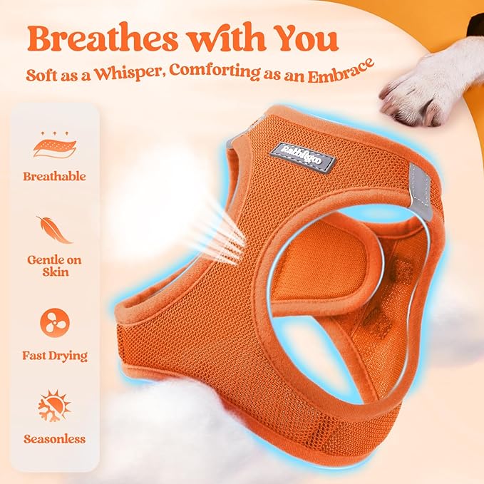 rabbitgoo Dog Harness Small Sized and Leash Set, Step in Soft Light Puppy Vest, Breathable Mesh Pet Harness, Reflective for Safe Easy Walking, Orange XXS