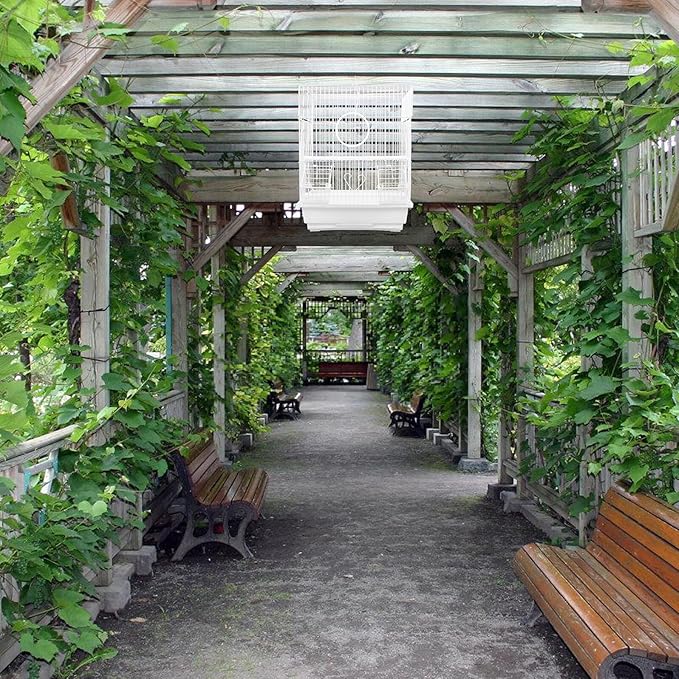 UPKOCH Portable Metal Bird Carrier Cage for Parakeets and Parrots Iron and Construction Lightweight Pet Bird Cage with Spacious Airflow for Comfortable Travel and Home Use