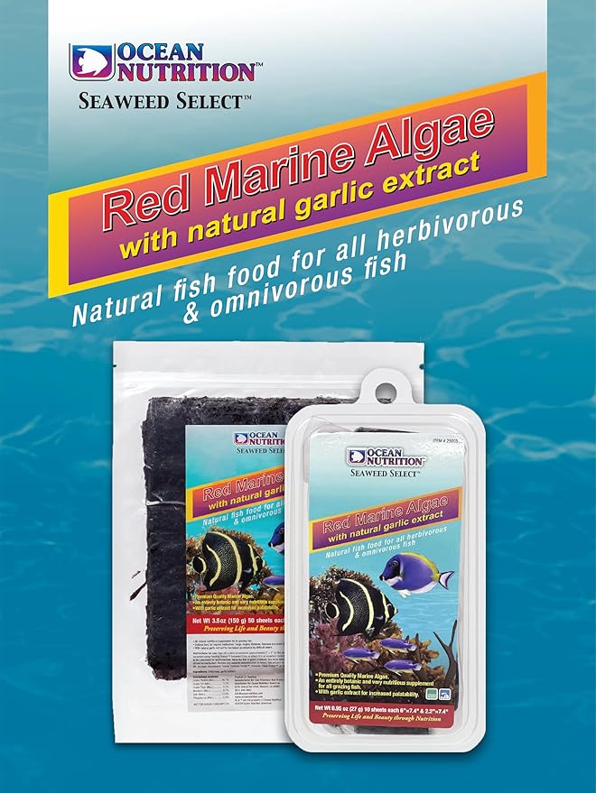 Ocean Nutrition Seaweed Sheets - Nutritious Red Marine Algae Saltwater Fish Food with Natural Garlic Extract for Algae Eater Fish - Perfect for Herbivorous & Omnivorous Fish, 4-Sheets 0.4 oz (12 g)
